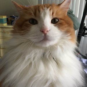 Meet your Posher, Danett